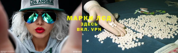 трава Балахна
