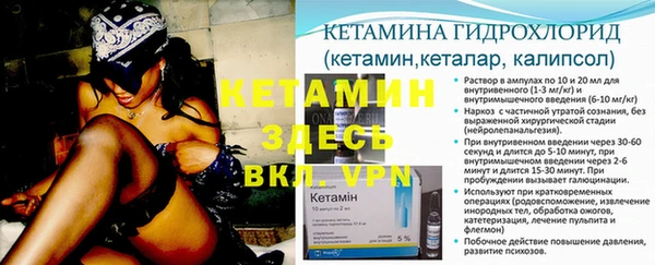 трава Балахна