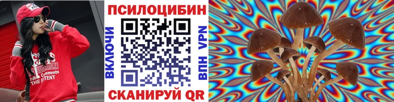 купить наркотики цена  Новодвинск  Галлюциногенные грибы Magic Shrooms 